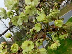 -新天地活力PARK