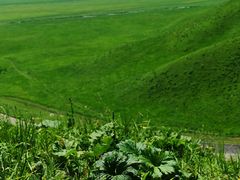 -新疆那拉提国家旅游度假区