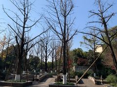 -杭州半山国家森林公园