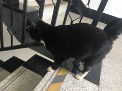 -星云文教馆