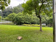 -火炉山森林公园
