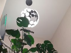 -艾维口腔(春江花月门诊部)