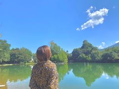 -蝴蝶泉公园