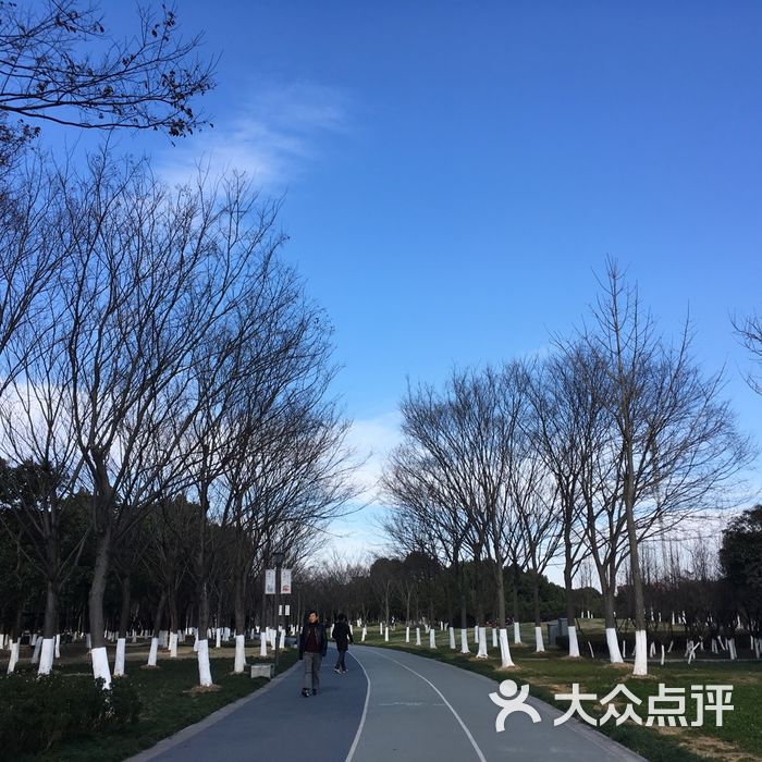 院士公園圖片-北京公園-大眾點評網