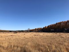 -塞罕坝国家级自然保护区