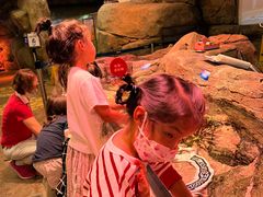 -沈阳海洋探索中心