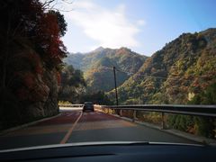 -沣峪口