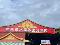 -曼阁市场水果批发市场