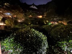 -十八棵（老龙井）御茶园(老龙井店)