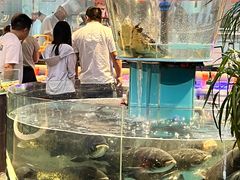 -魏铭鱼头捞饭(晋阳路店)