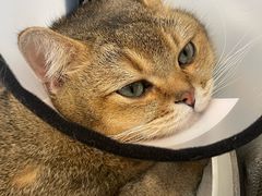 -荔康动物医院(康王北路店)