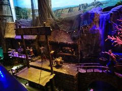 -华夏文旅海洋公园