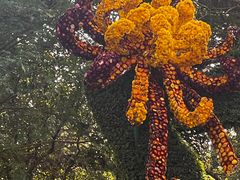 -杭州植物园