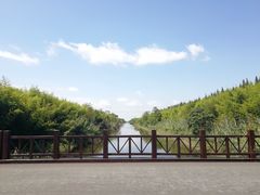 -黄海国家森林公园