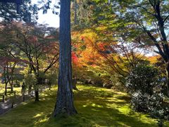-三千院