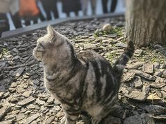 -龙华寺