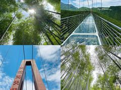 -阿露佳·舌尖上的安吉菜