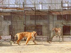 -秦皇岛野生动物园