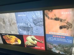 -上海昆虫博物馆