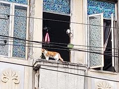 门面-农汤老店(顺联公园里店)