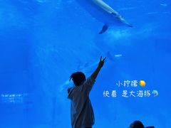 -海合安成都极地海洋公园
