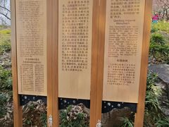 -香雪海