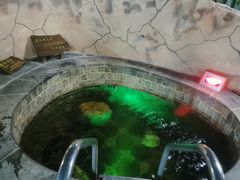 -泉城欧乐堡戏水湾艺术养生温泉