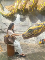 -Zoolung Zoolung动物主题公园(海信广场店)