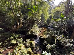 -海南热带雨林国家公园吊罗山景区