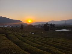 -CoCo都可(香港名都店)