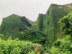 -枸杞岛