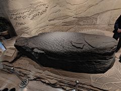 -白鹤梁水下博物馆