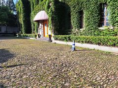 -半岛公馆(淞兴西路店)