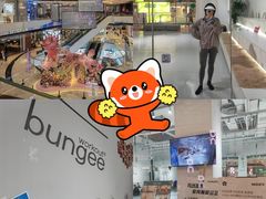 -Jumphai室内蹦极运动