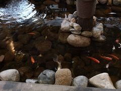 -山有花啡餐厅(常营总店)