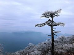 -秦岭风景区