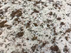 -雪熊哈尔滨烧烤·精酿啤酒·砂锅(中央胜境店)