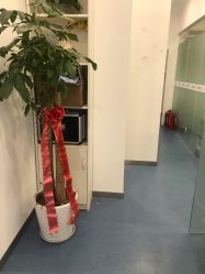-SOR索尔祛痘·面部肌肤科学管理
