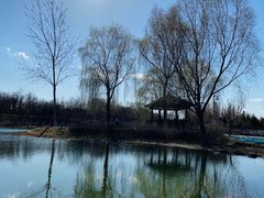 -大兴滨河森林公园