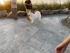 -李先生的首尔小馆(松江启源广场店)