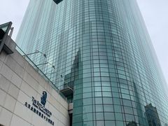 -丽思卡尔顿酒店泳池(金融街店)