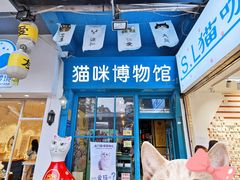 -猫咪博物馆(顶澳仔猫街店)