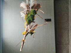 -宴武夷·匠心闽味(印象大红袍店)