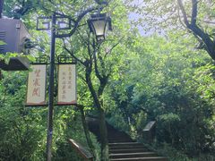 -杭州半山国家森林公园