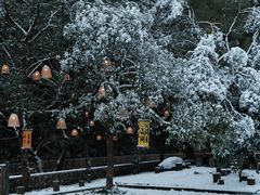 -宁波五龙潭景区