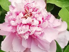 -大钟寺古钟博物馆