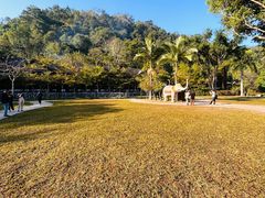 -野象谷景区