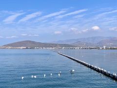 -大理洱海