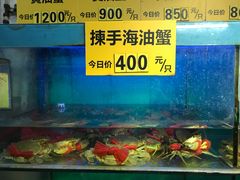 -三辣馆