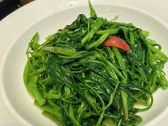 -香港狮子山下·明星粤菜餐厅(北苑店)